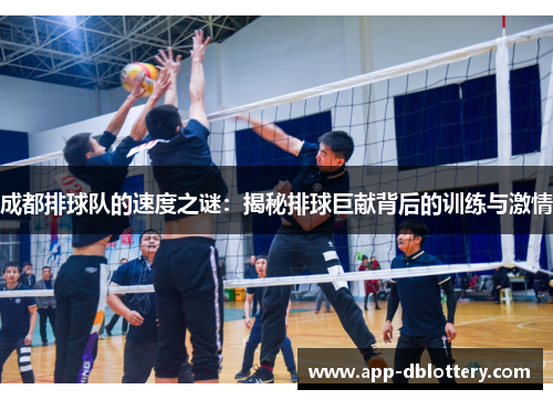 成都排球队的速度之谜：揭秘排球巨献背后的训练与激情