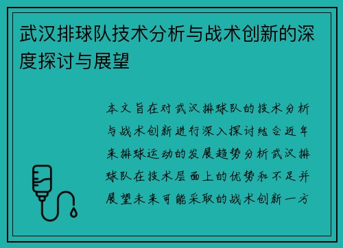 武汉排球队技术分析与战术创新的深度探讨与展望